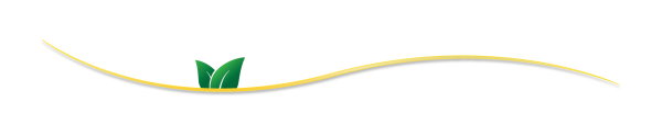 Stolle swoop with leaves